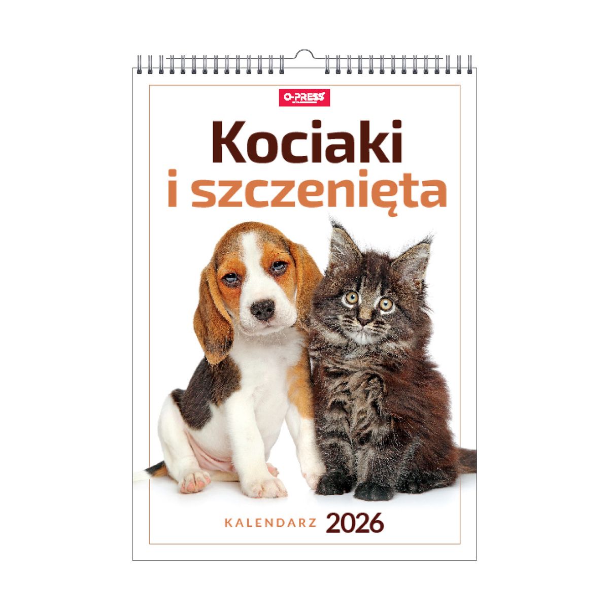 Kalendarz ścienny (401000) k:2915-377 16 stron wieloplanszowy A3 Press (kociaki i szczeniaki)