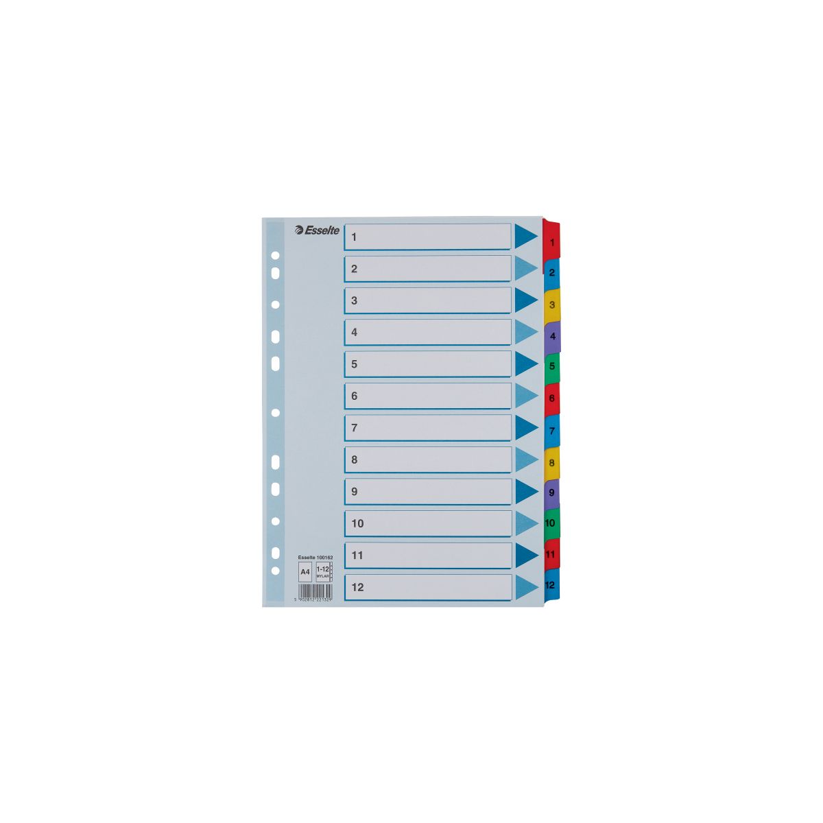 Przekładka numeryczna Esselte Mylar kartonowe A4 mix kolorów 160g 12k 1-12 (100162)
