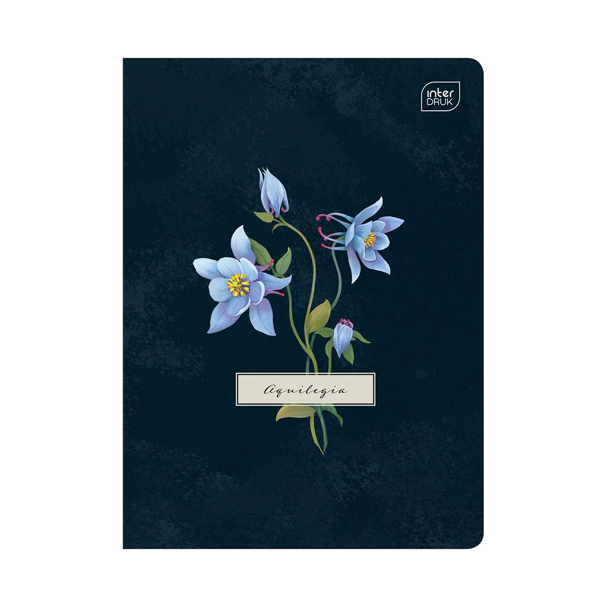 Zeszyt HYBRYD FIORI A5 60k. 70g linia Interdruk