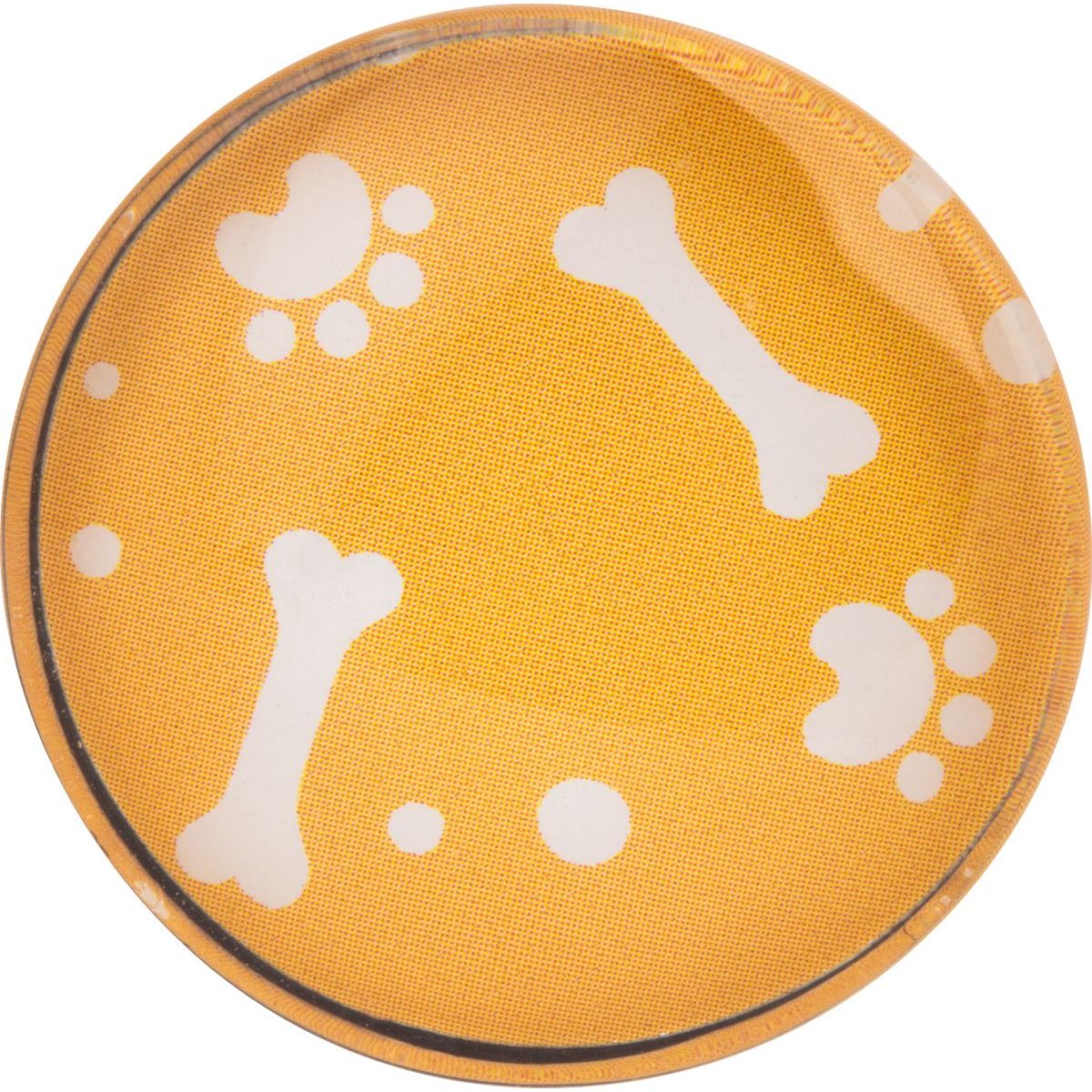 Magnes Happy Color CAT&DOG, różnokolorowy (HA 4921 01CD-WP6) 6 sztuk