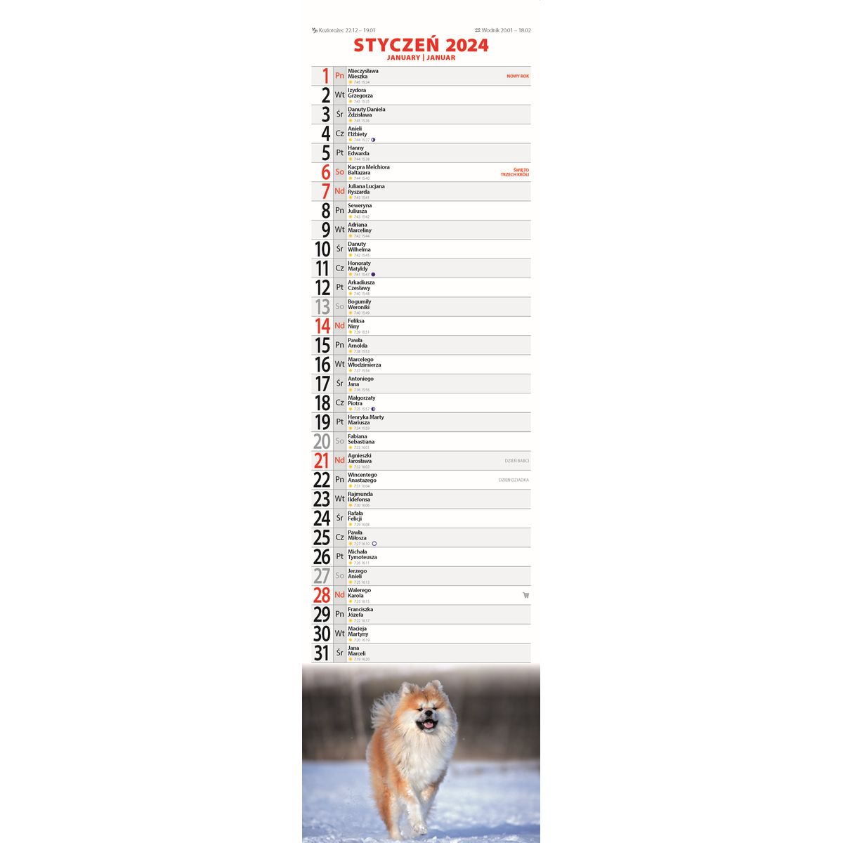 Kalendarz ścienny Avanti paskowy Psy 130mm x 460mm (5901769620384)