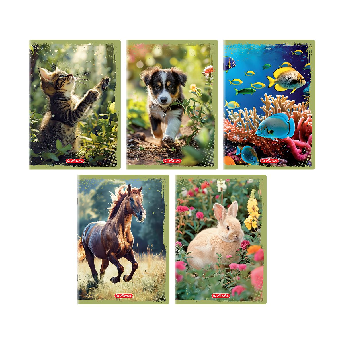 Zeszyt Herlitz Animals A5 16k. 70g gładki (400196854)