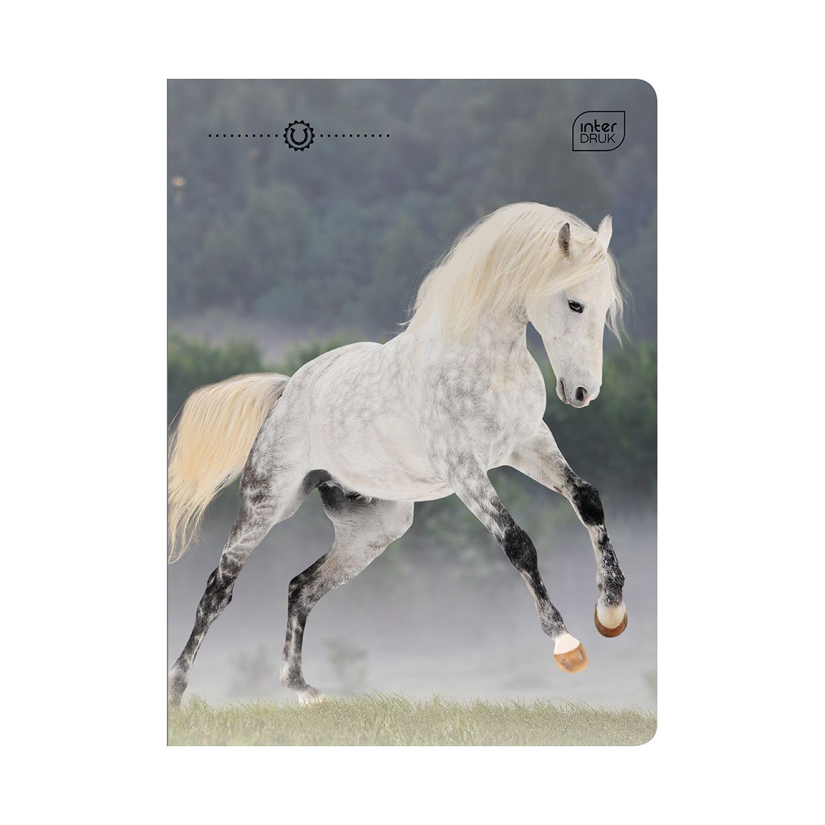 Zeszyt Interdruk WILD HORSES A5 32k. 70g linia kolor