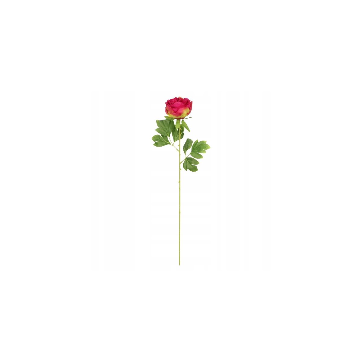 Kwiaty piwonia 60cm czerwona Home And Garden (1822)