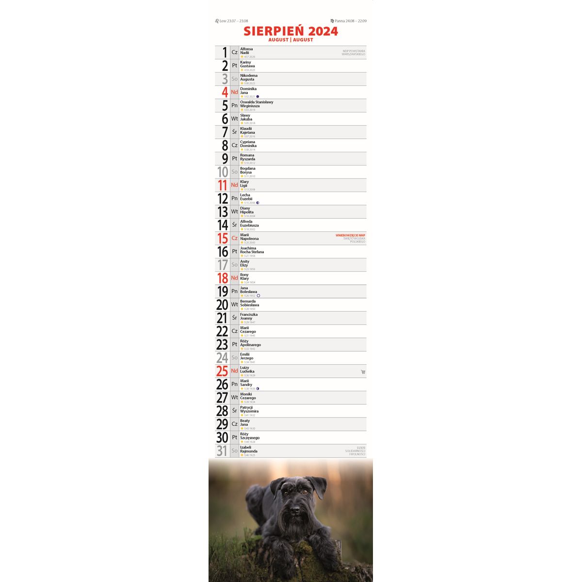 Kalendarz ścienny Avanti paskowy Psy 130mm x 460mm (5901769620384)