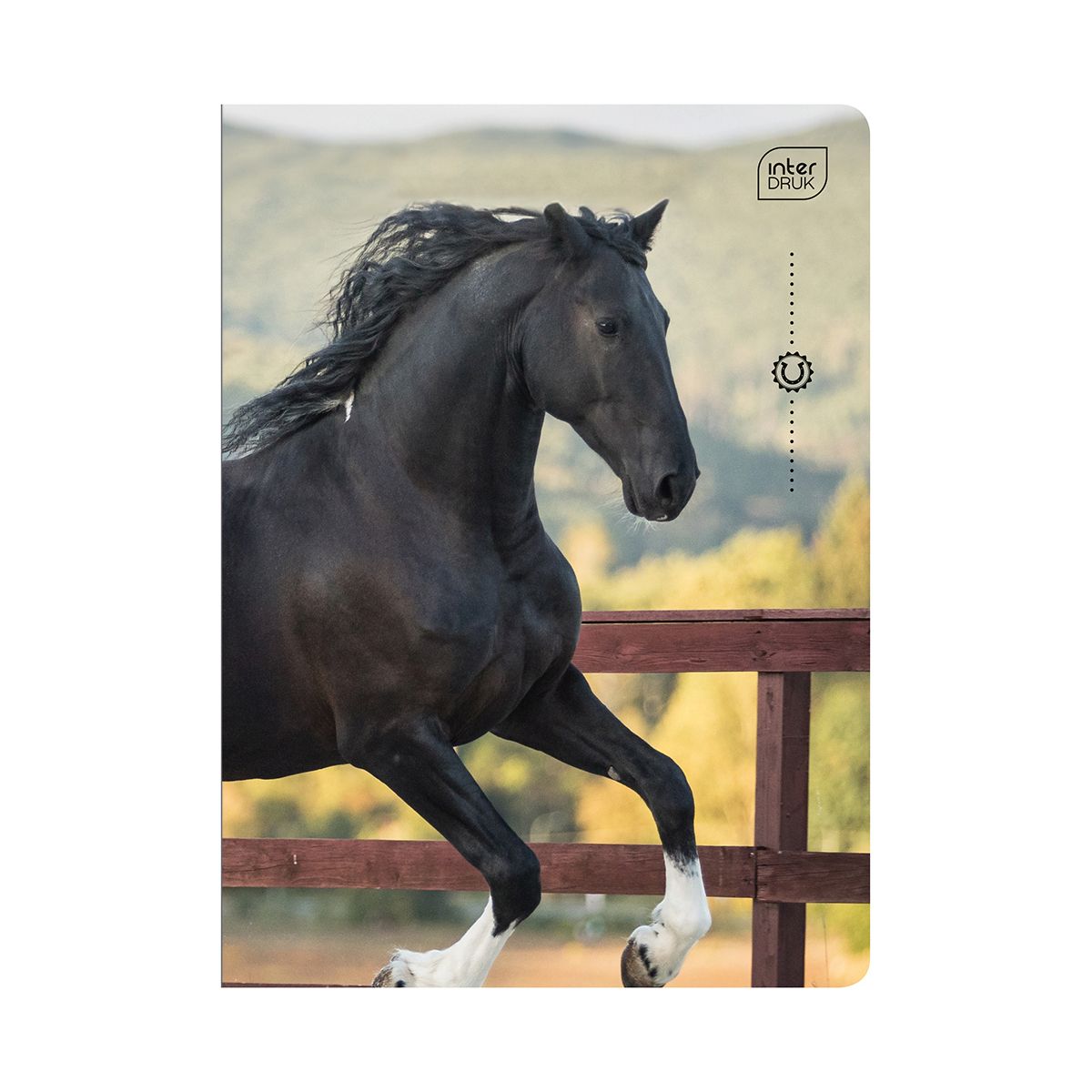 Zeszyt Interdruk WILD HORSES A5 32k. 70g linia kolor