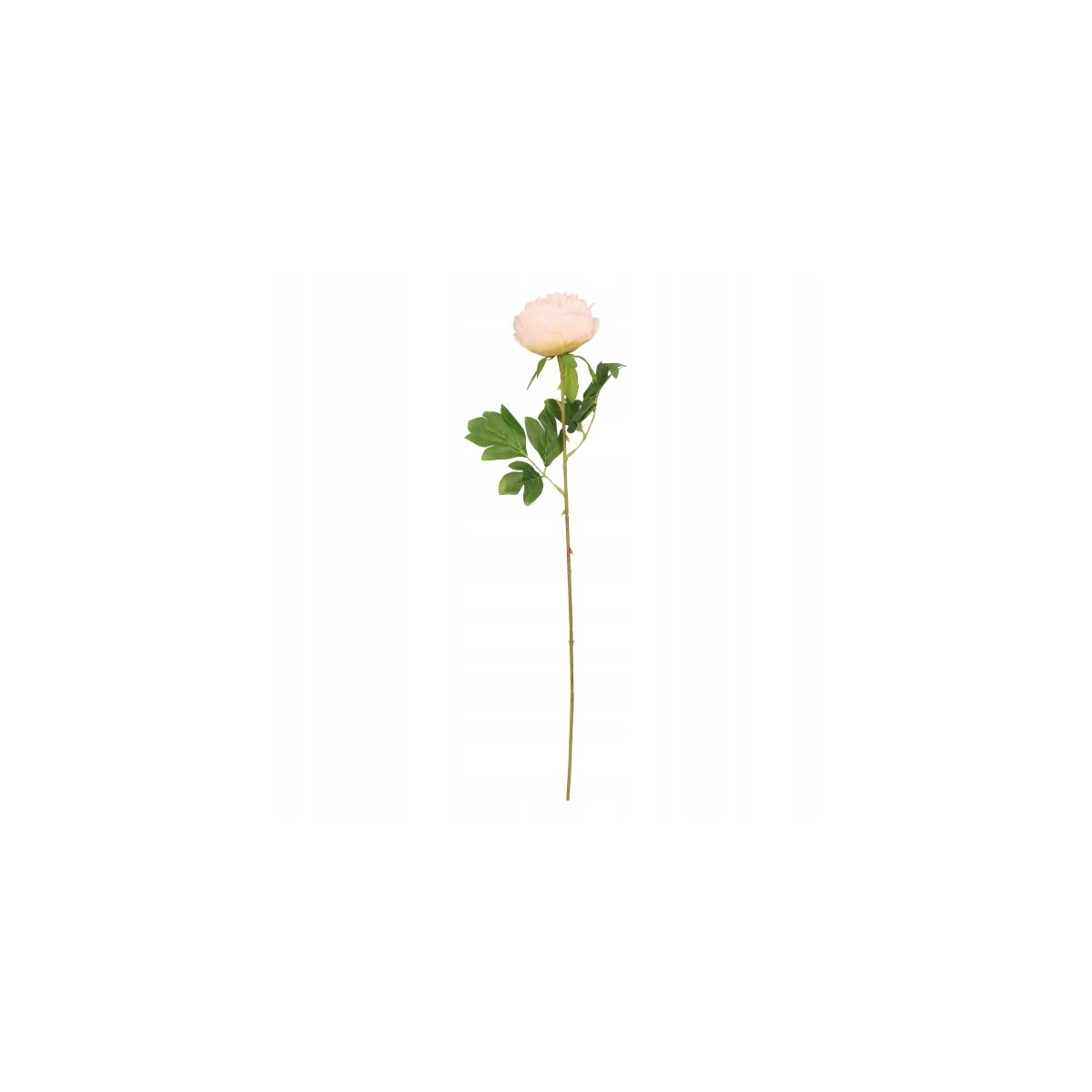 Kwiaty piwonia 60cm różowa Home And Garden (1815)