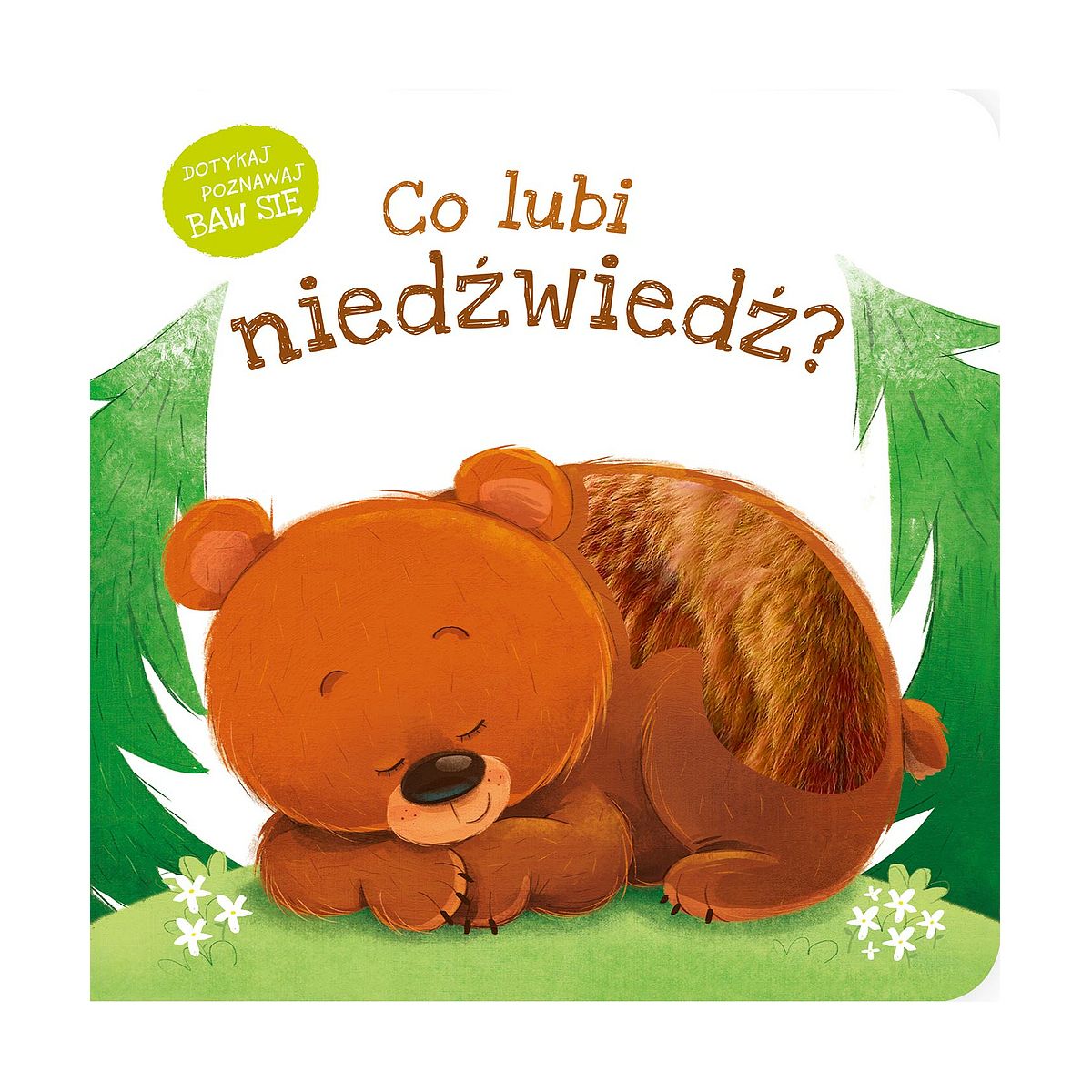Książeczka edukacyjna Zielona Sowa Co lubi niedzwiedz?