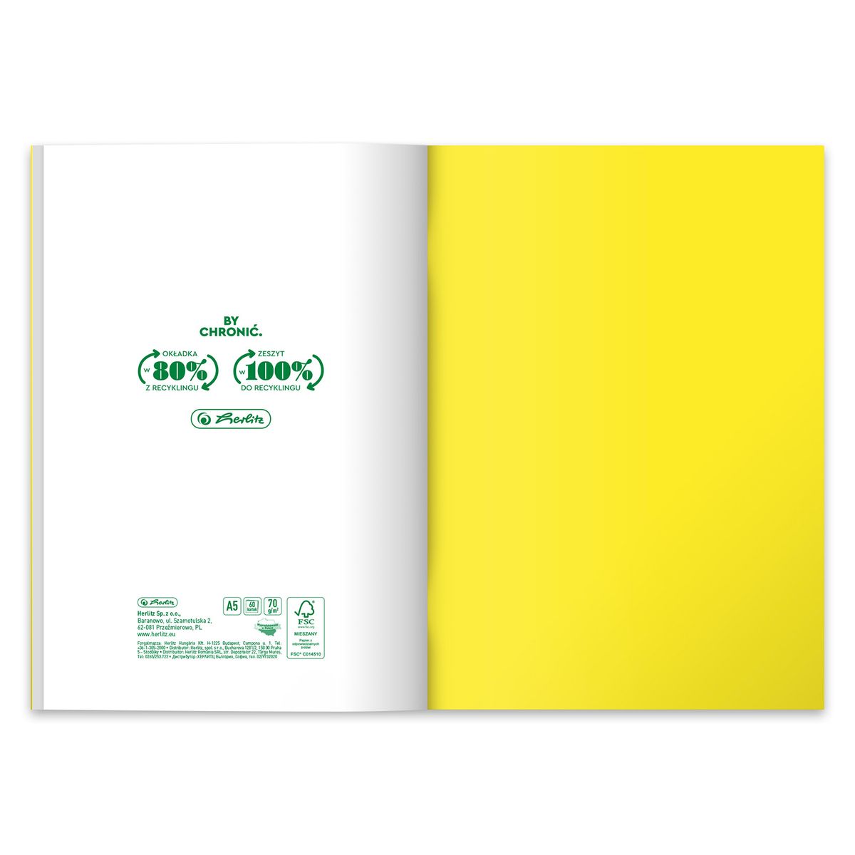 Zeszyt Colors Eco PP A5 60k. 70g krata Herlitz (9552308)