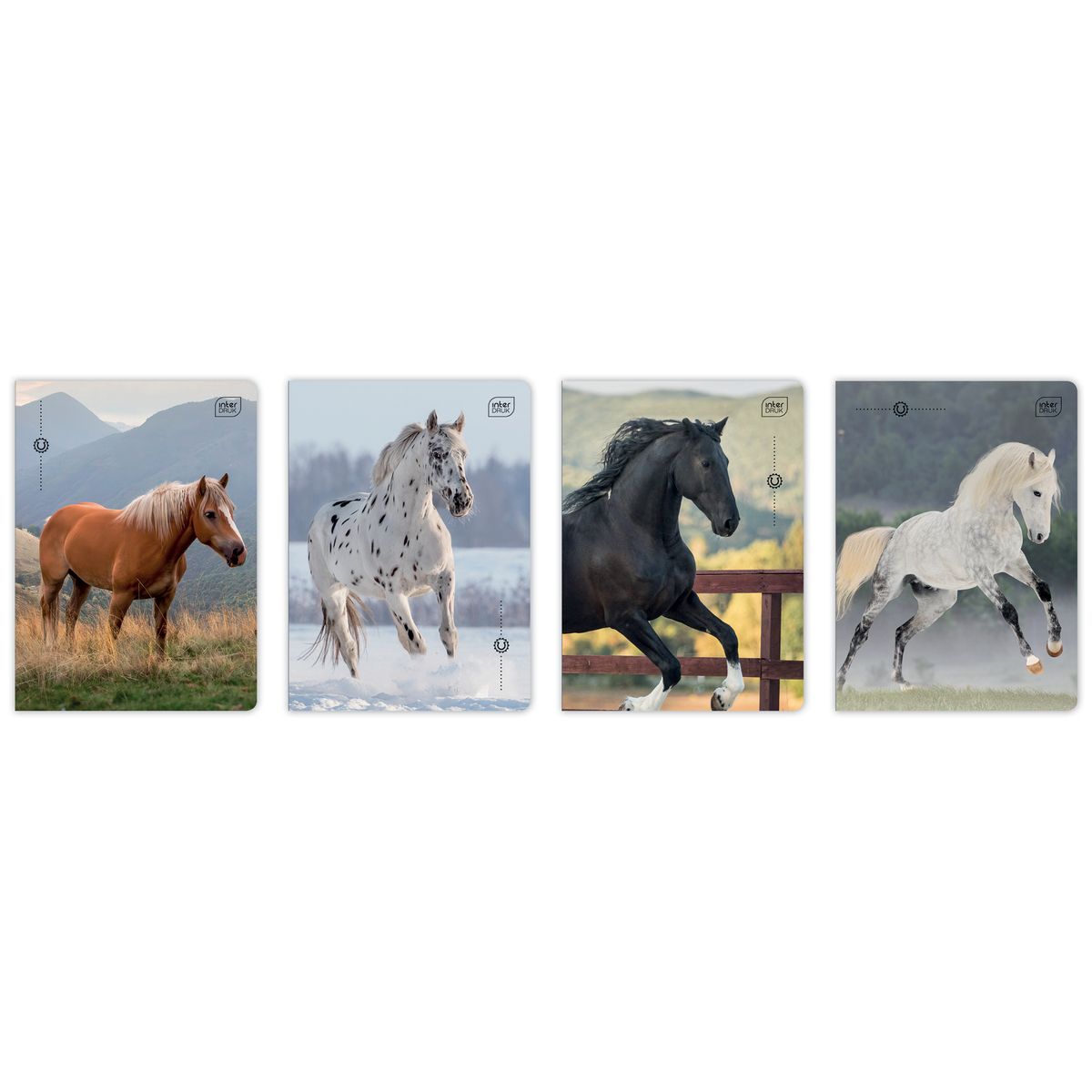Zeszyt Interdruk WILD HORSES A5 32k. 70g linia kolor