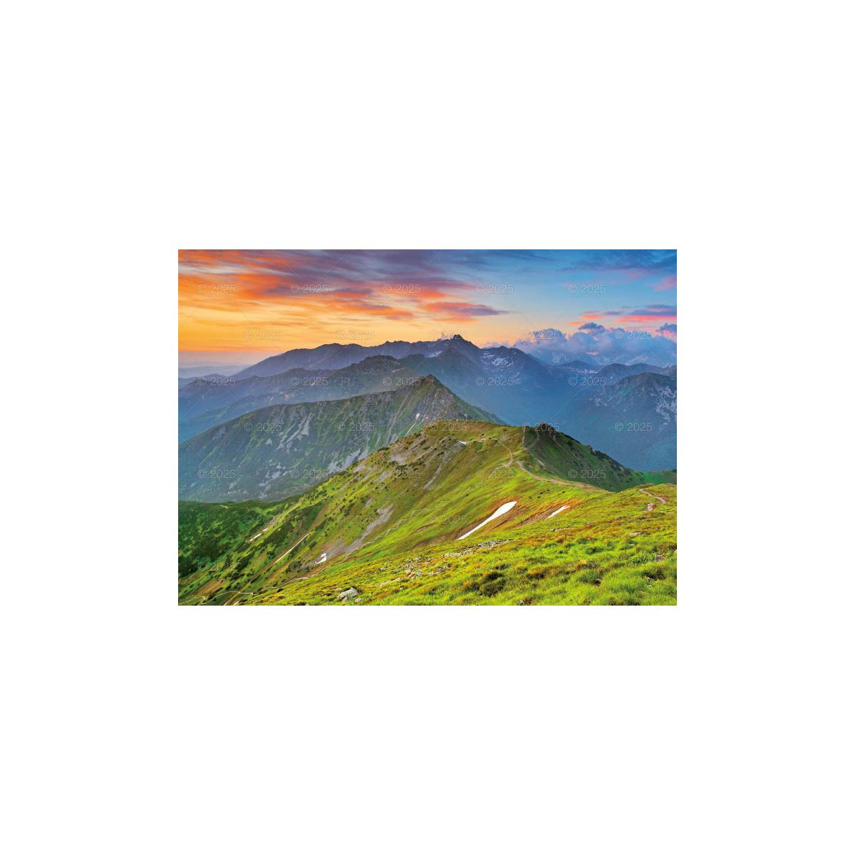 Kalendarz ścienny TATRY Lucrum rodzinny 2025 280mm x 400mm (WL05)