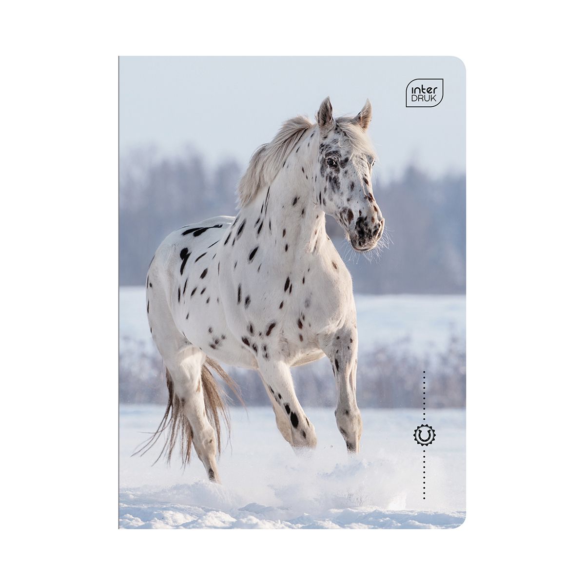 Zeszyt Interdruk WILD HORSES A5 32k. 70g linia kolor