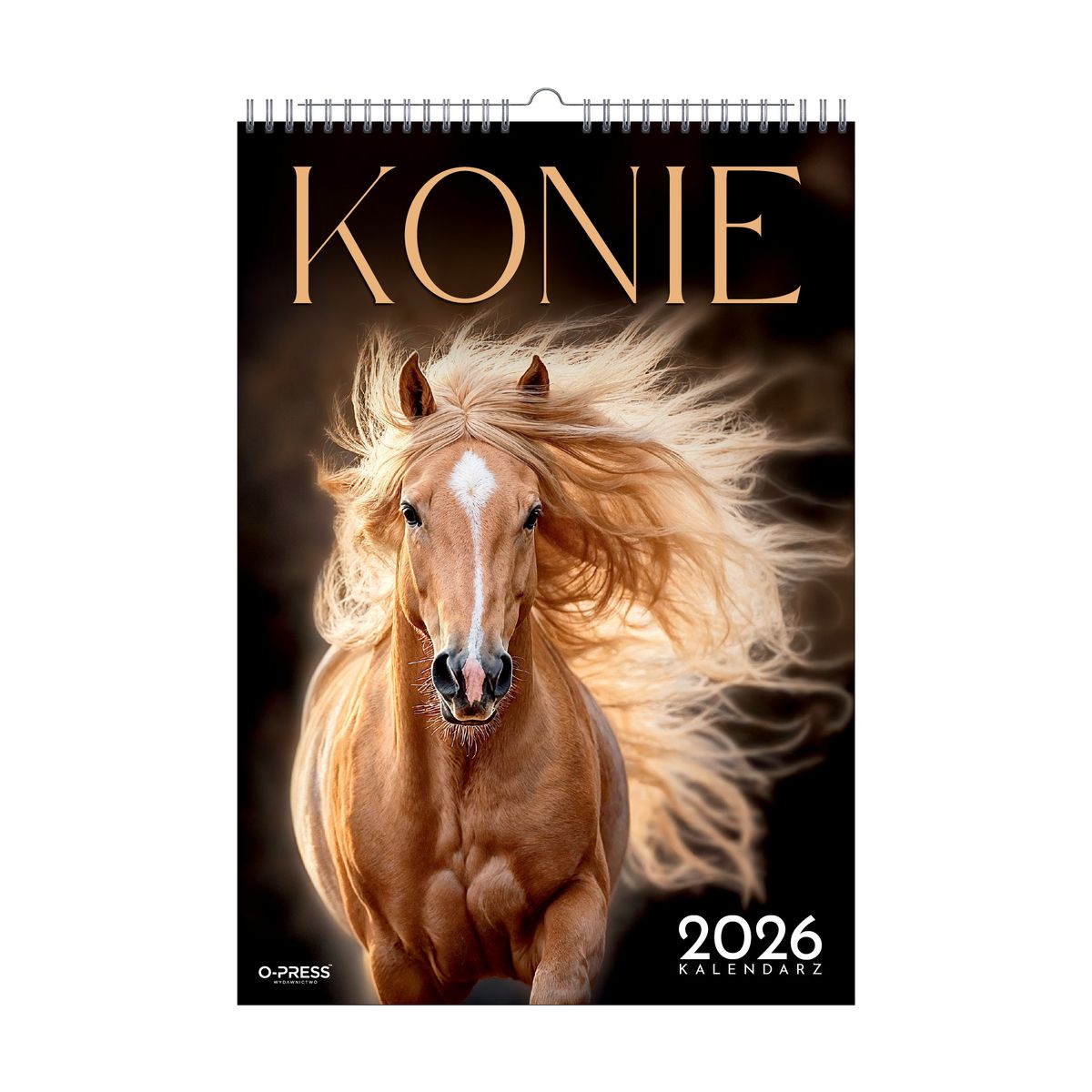 Kalendarz ścienny (401000) k:2915-377 16 stron wieloplanszowy A3 Press (konie)