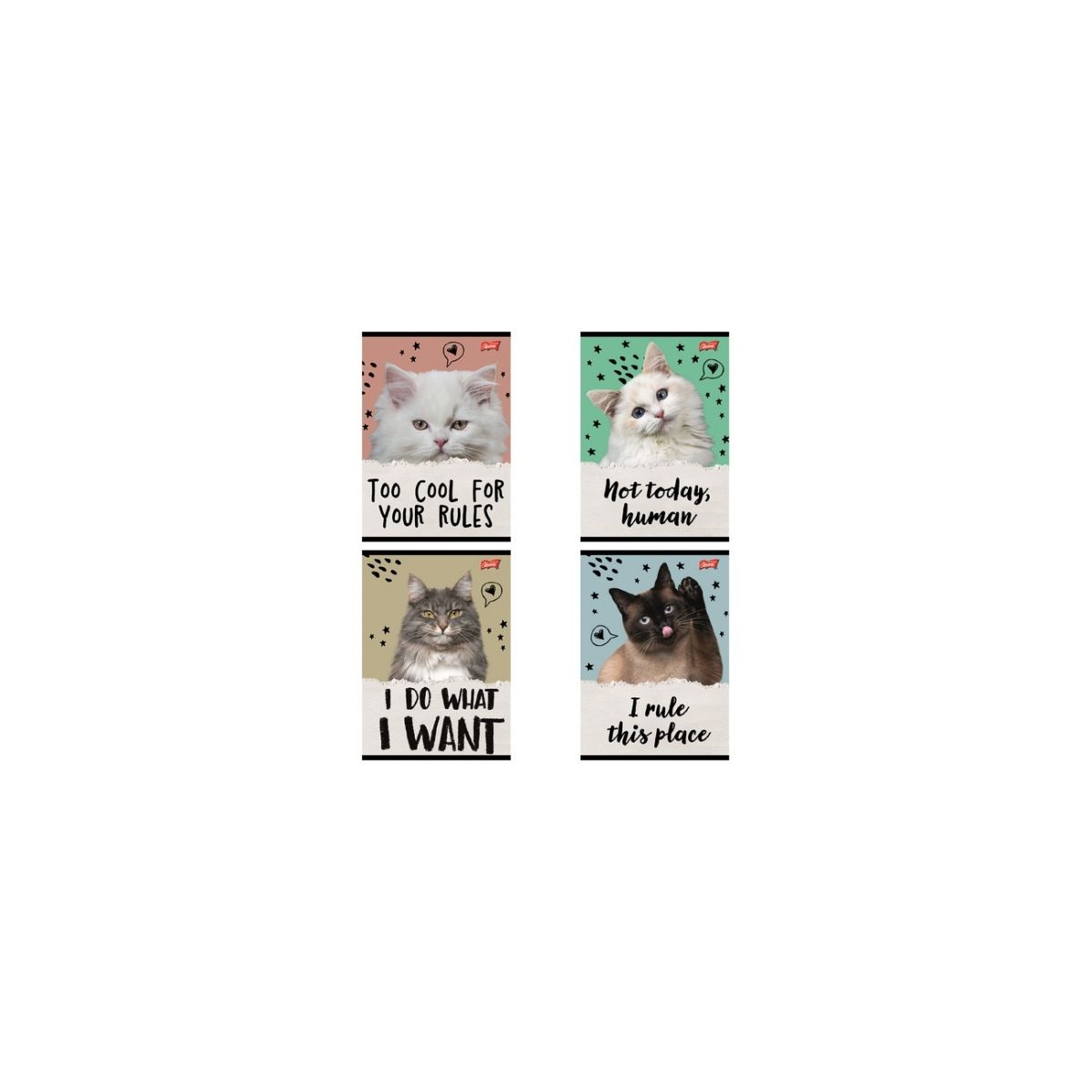 Zeszyt Unipap Caturday A5 32k. 70g linia kolor