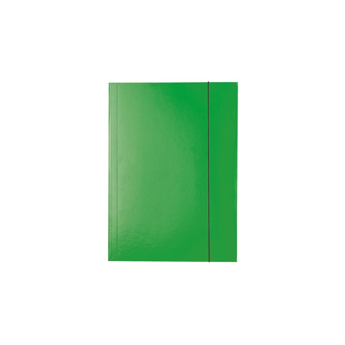 Teczka kartonowa na gumkę A4 zielony 400g Esselte (13437)