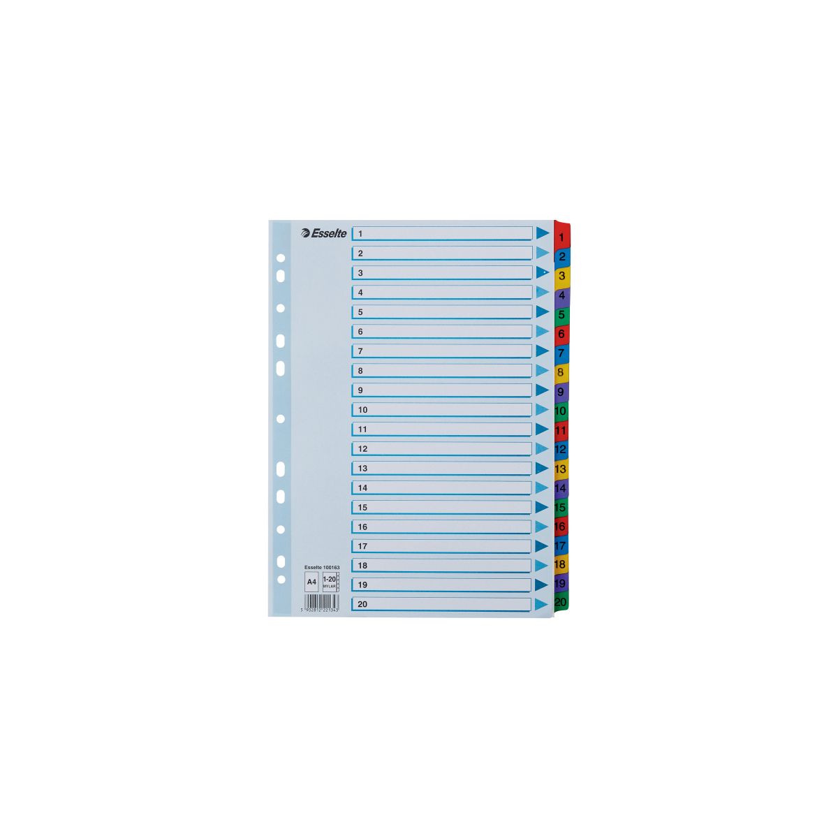 Przekładka numeryczna Esselte Mylar kartonowa A4 mix kolorów 160g 20k 1-20 (100163)