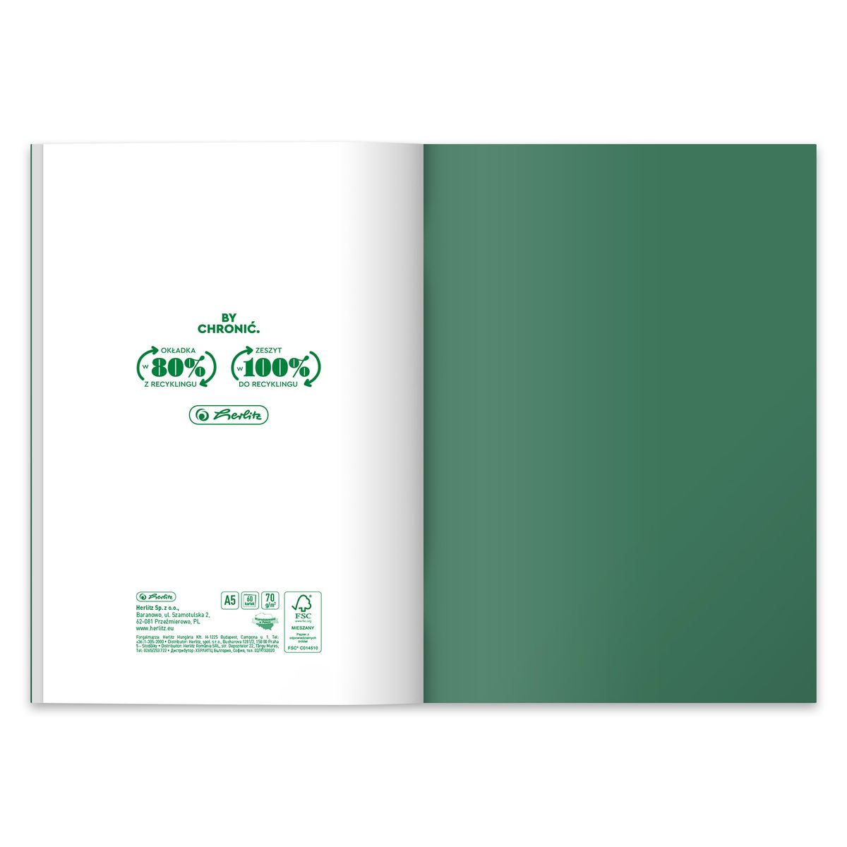 Zeszyt Ocean Colors Eco PP A5 60k. 70g krata Herlitz (9552407)