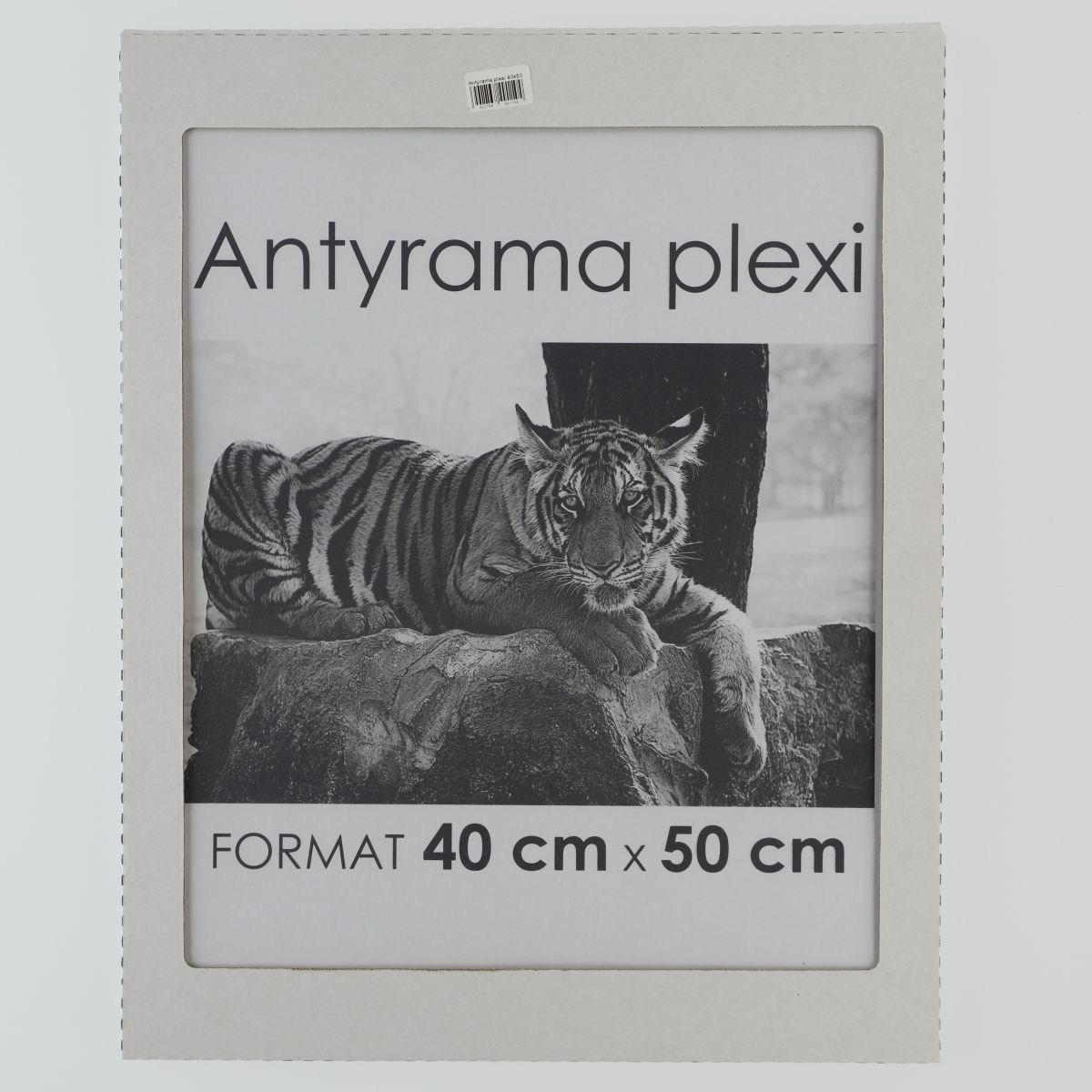 Antyrama plexi plexi [mm:] 400x500 Raw-West