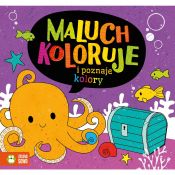 Książeczka edukacyjna Maluch koloruje i poznaje kolory Zielona Sowa