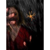Ozdoba halloweenowa Czarna pajęczyna z pająkiem Arpex (HA7957)