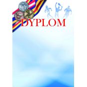 Dyplom Galeria Papieru A4 250g (212525)