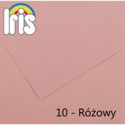 Brystol Canson Iris 10 A4 różowy 120g 100k (200040009)