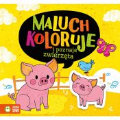 Książeczka edukacyjna Maluch koloruje i poznaje zwierzęta Zielona Sowa