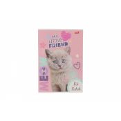 Zeszyt MY LITTLE FRIEND A4 32k. 70g linia kolor Unipap