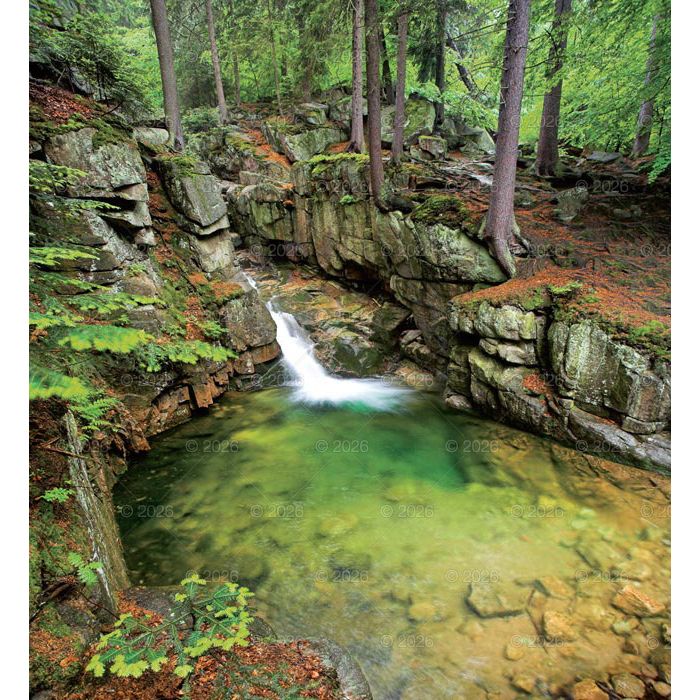 Kalendarz ścienny (401000) k:2915-377 MAGICZNA POLSKA 13-planszowe 2024 320mm x 470mm Lucrum (RW02)