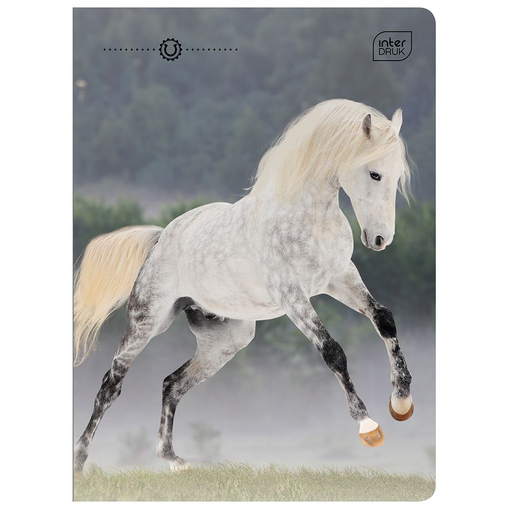 Zeszyt Interdruk WILD HORSES A5 32k. 70g linia kolor