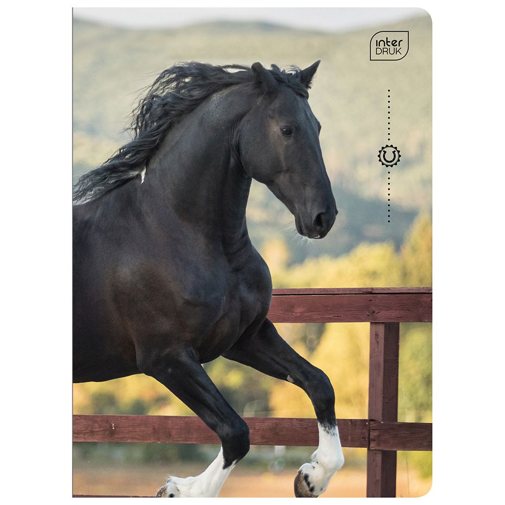 Zeszyt Interdruk WILD HORSES A5 32k. 70g linia kolor