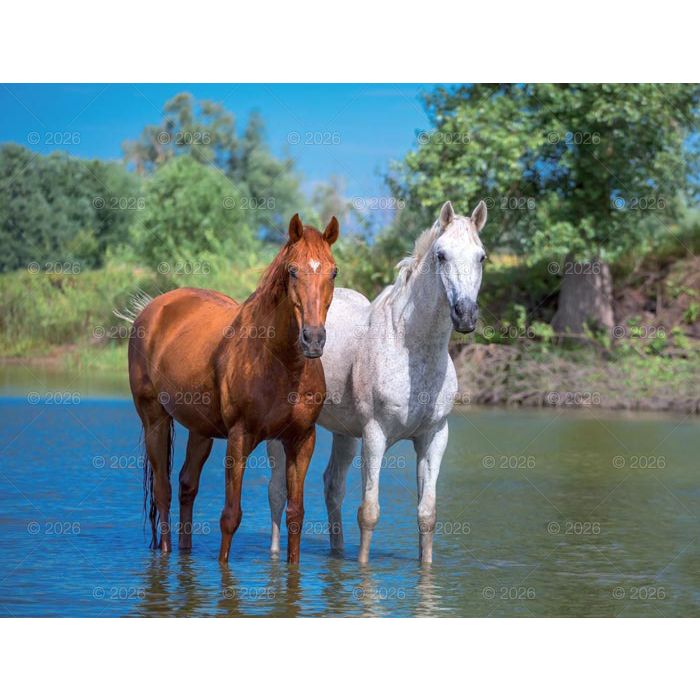 Kalendarz ścienny (401000) k:2915-377 13-planszowe 320mm x 470mm Lucrum (RW14)