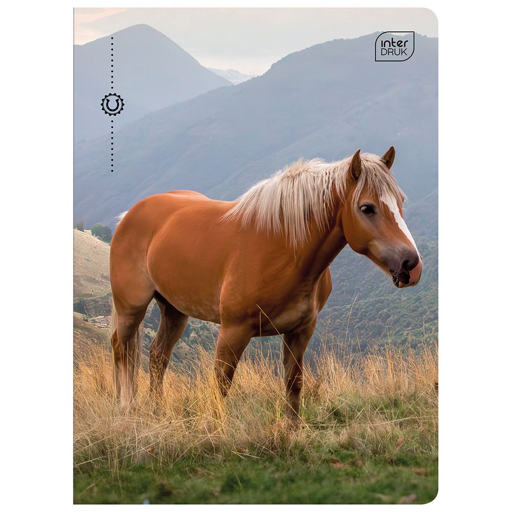 Zeszyt Interdruk WILD HORSES A5 32k. 70g linia kolor