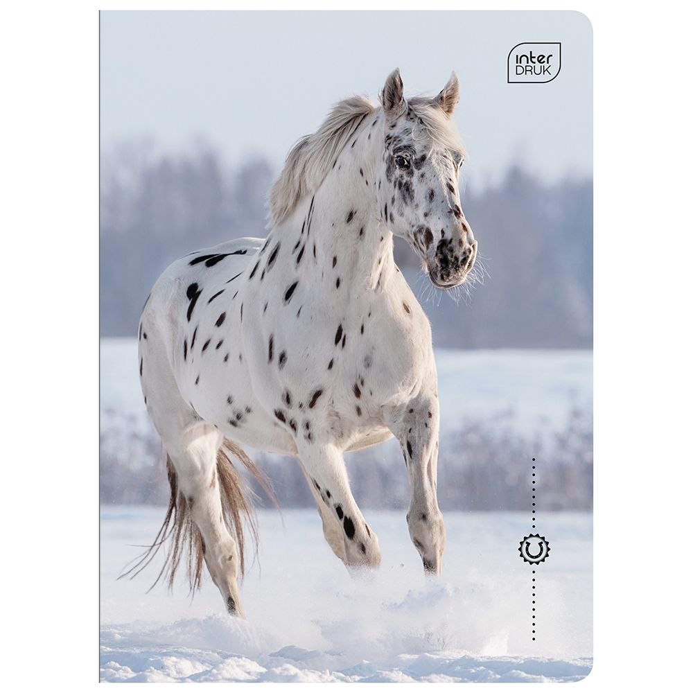 Zeszyt Interdruk WILD HORSES A5 32k. 70g linia kolor