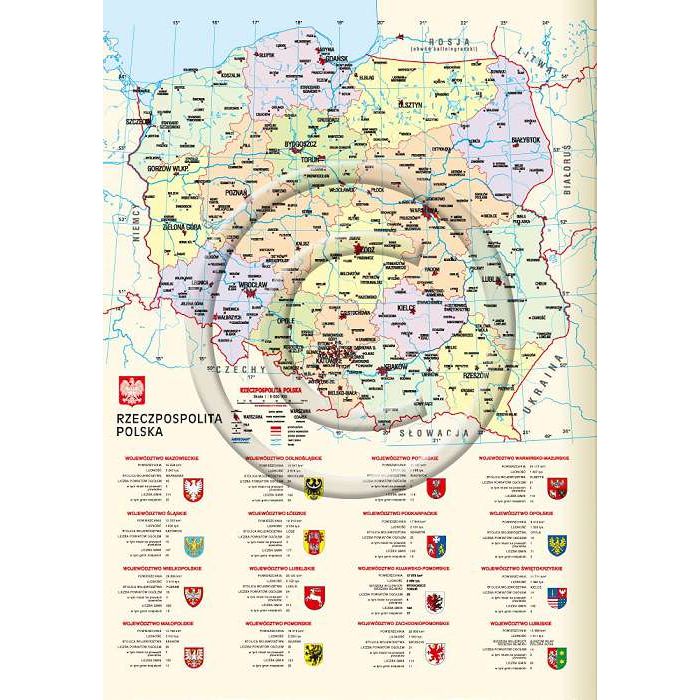 Kalendarz książkowy (terminarz) WYCINANKA B6 Lucrum (41DS)